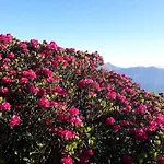Zum Hirschen Zell Am فندق زيل أم سي